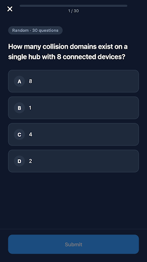 CCNA 200-301 Practice Screenshot 3