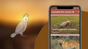 Australian Bird sounds Screenshot 0