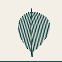 Plumes: Feather Atlas