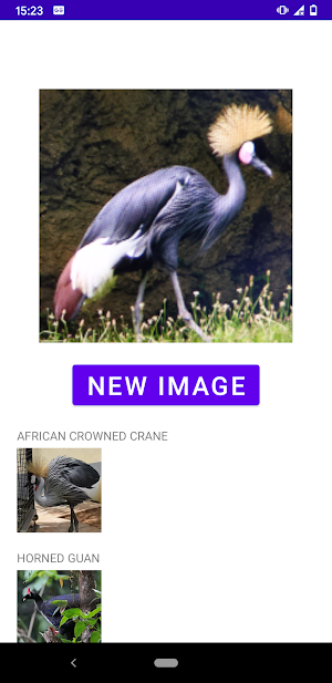 Bird identifier Screenshot 0
