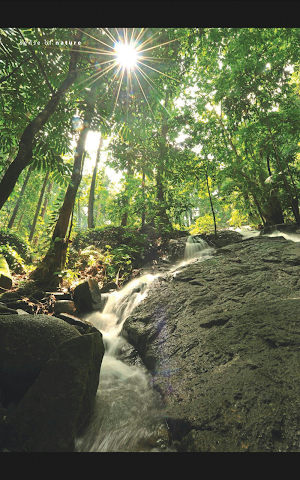 Senses of Malaysia Screenshot 2