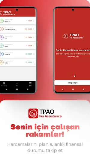 TPAO fin assistance Screenshot 3