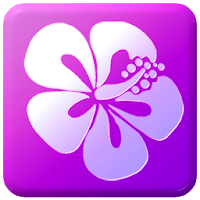 Blossomy Premium