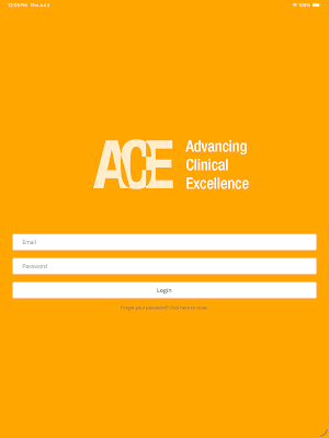 ACE Meeting Screenshot 3