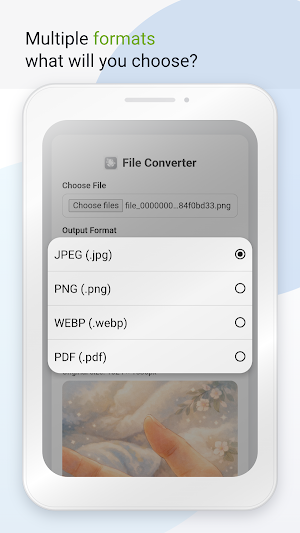 File converter Screenshot 2