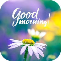 Good Morning Love Messages & Images