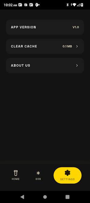 VOI Flashlight Screenshot 2