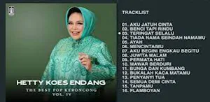 Hetty Koes Endang Offline Mp3. Screenshot 0