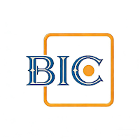 BIC ONE