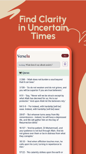 VerseLu Screenshot 3