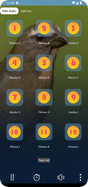 Canto Fêmea de Trinca Ferro Screenshot 1