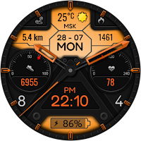 Hybrid Fnx351 Watch Face