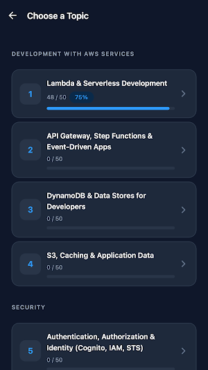 AWS Developer Associate Prep Screenshot 1