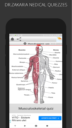 MEDICAL QUIZZES Screenshot 0