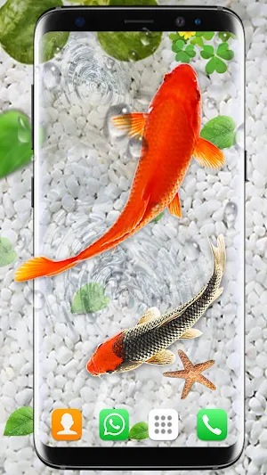 Koi Fish Live Wallpapers HD Screenshot 3