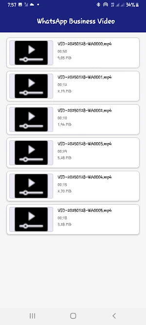 Video Player Screenshot 1