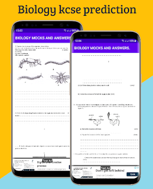 Grade 4 all subjects schemes Screenshot 2