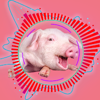 Pig Soundboard
