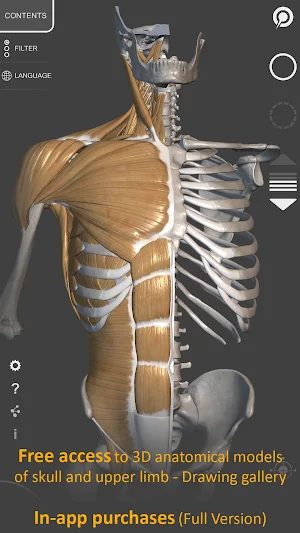 3D Anatomy for the Artist Screenshot 1