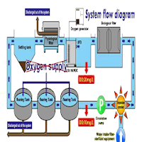 Bioflog Business Plan