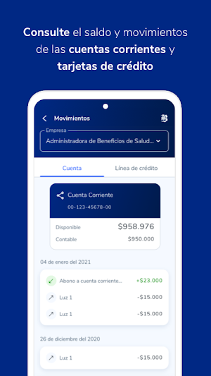 Banconexión Empresa Screenshot 3