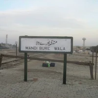 Burewala