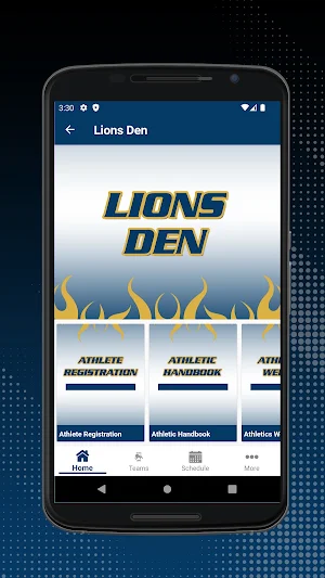 Belfast Lions Athletics Screenshot 3