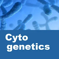 Cytogenetics Quiz