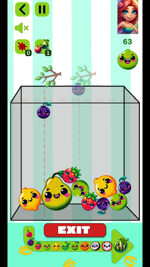 Fruit Merge - Offline Screenshot 2