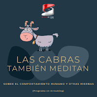 Las cabras también meditan