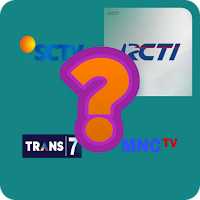 TV digital Indonesia