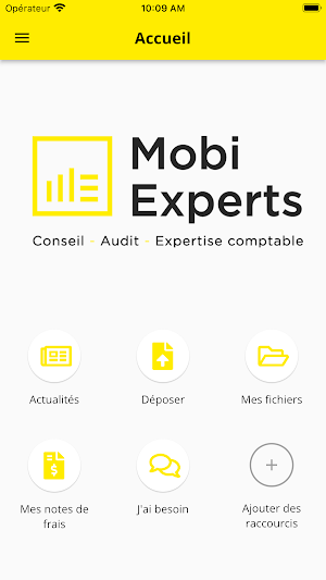 Mobi experts Screenshot 1