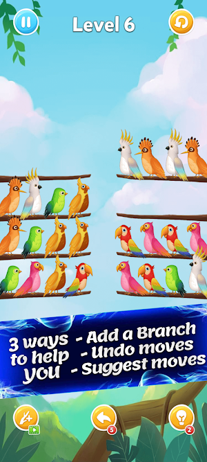 Sort Birds Screenshot 2