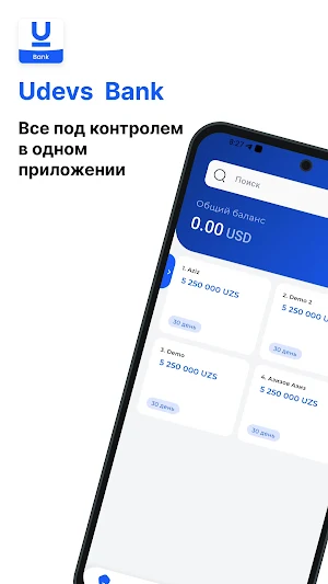 UdevsBank Screenshot 0