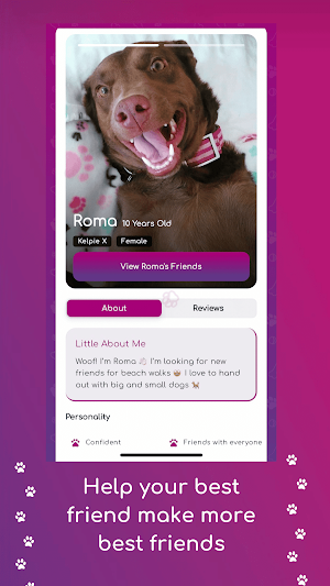 Socialdog Screenshot 3