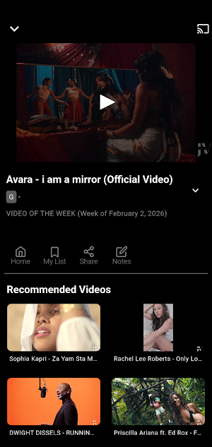 Just Vibin' Media Screenshot 2