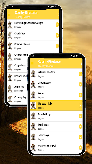 Country Ringtones Screenshot 1