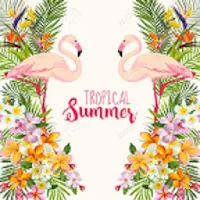 Radio Ritmos Tropicales tu mej