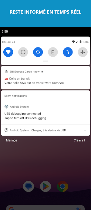 EBI Express Cargo Screenshot 3