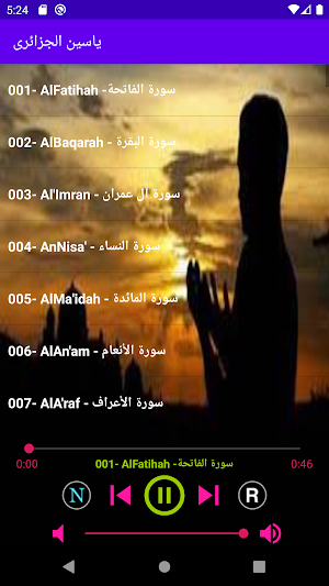 ياسين الجزائرى قرأن كريم كاملاً بدون إنترنت Screenshot 0