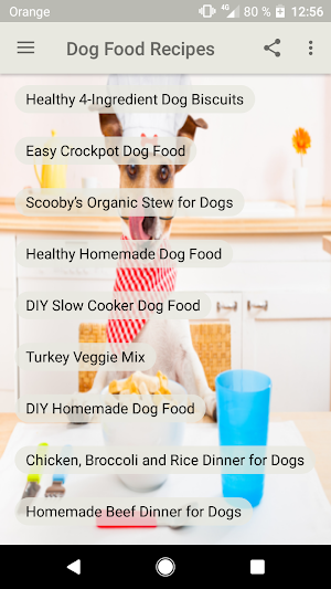 Dog Food Recipes Screenshot 1