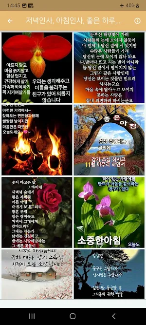 저녁인사, 아침인사, 좋은 하루, 예쁜 인사이미지! Screenshot 3