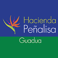 Hacienda Peñalisa Guadua