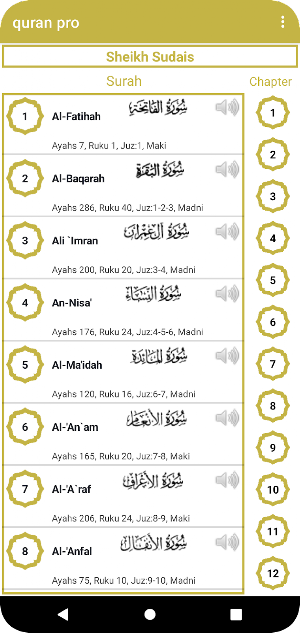 quran Screenshot 1