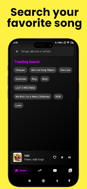 Offline Music Player Screenshot 2