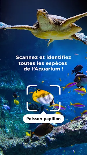 Aquazoom Screenshot 1