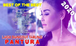 Dangdut Tarling Pantura Screenshot 1