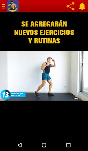 Entrenamiento boxeo - técnicas Screenshot 2