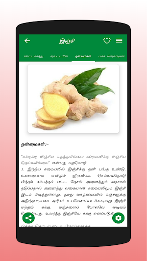 Fruits & Vegetables - பழங்கள், காய்கறிகள் Screenshot 2