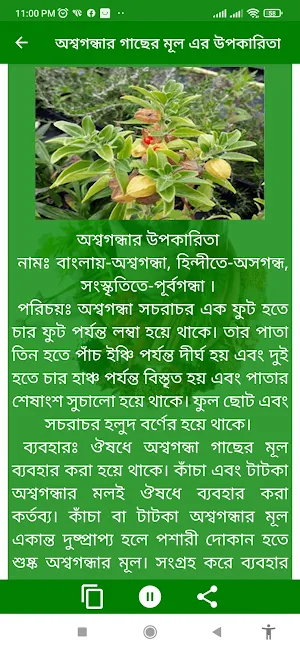 ঔষধি গাছের হারবাল চিকিৎসা Screenshot 2